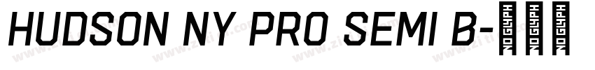 Hudson NY Pro Semi B字体转换